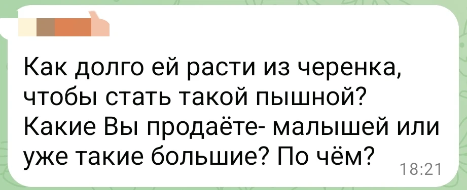 ВОПРОС ОТ ПОДПИСЧИЦЫ