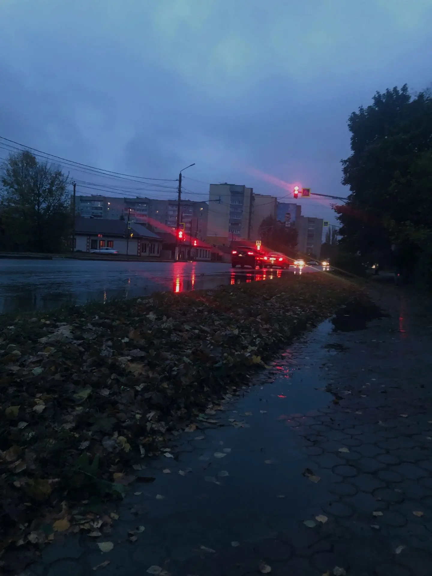 Дождливый осенний вечер в Ельце 🍂
