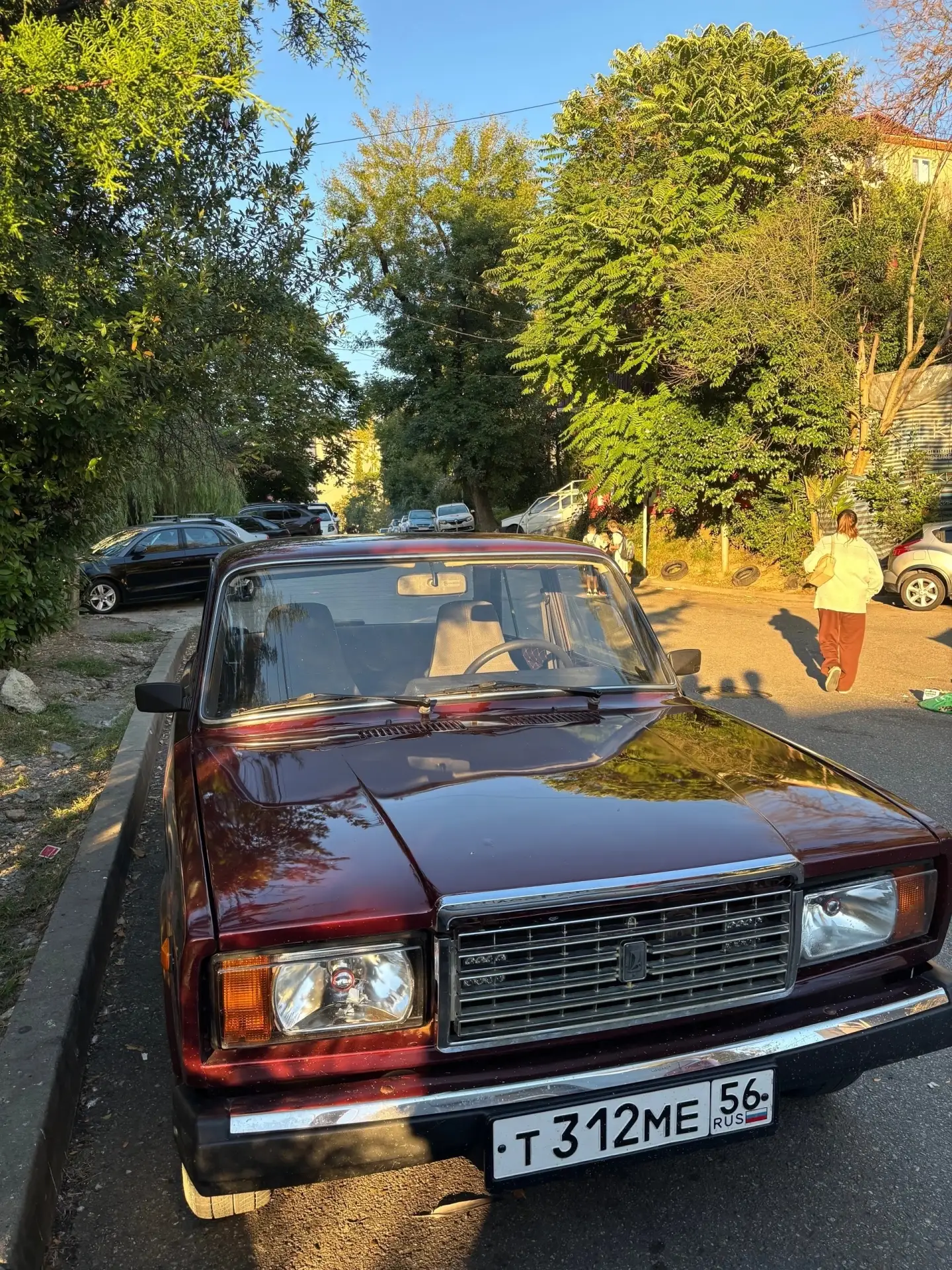 12 год
