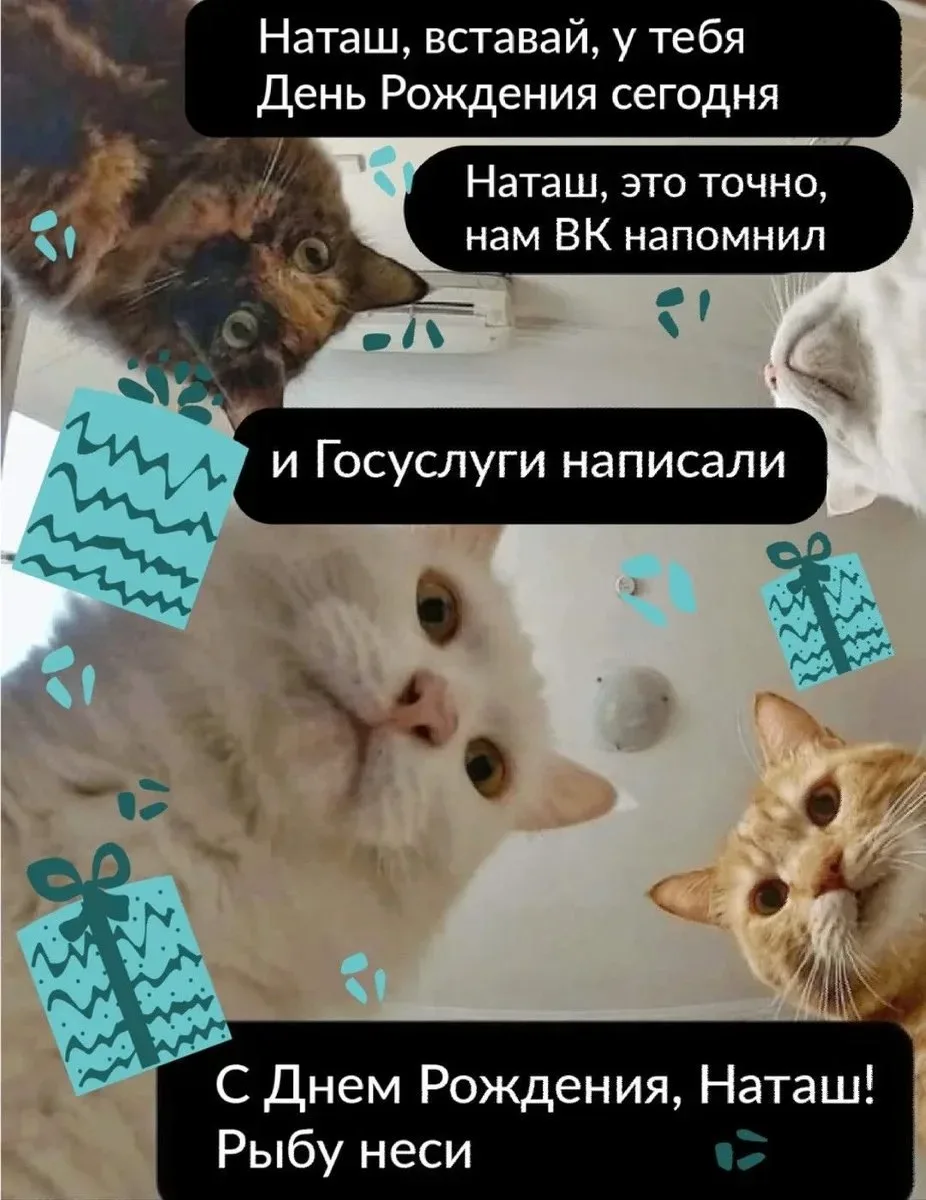 Вот прямо развеселили меня в этот прекрасный осенний день! У меня сегодня день рождания...
