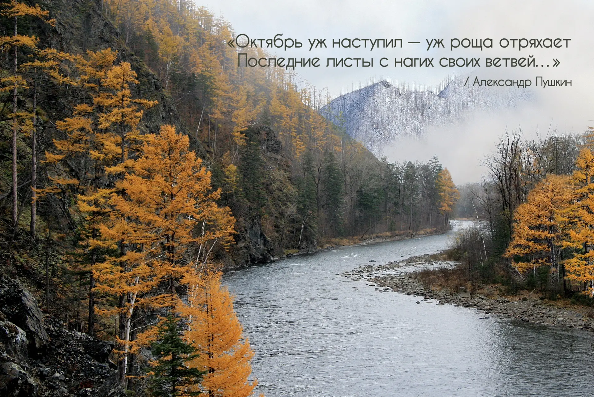 У осени особенный голос. Она шуршит золотой листвой, растворяется в утренних туманах и ...