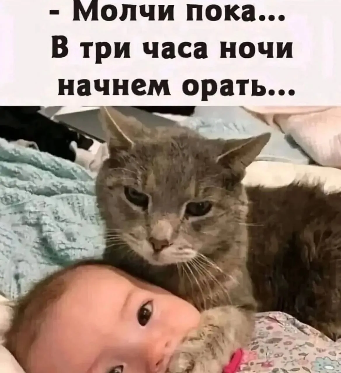 Город засыпает - мафия просыпается ⚡