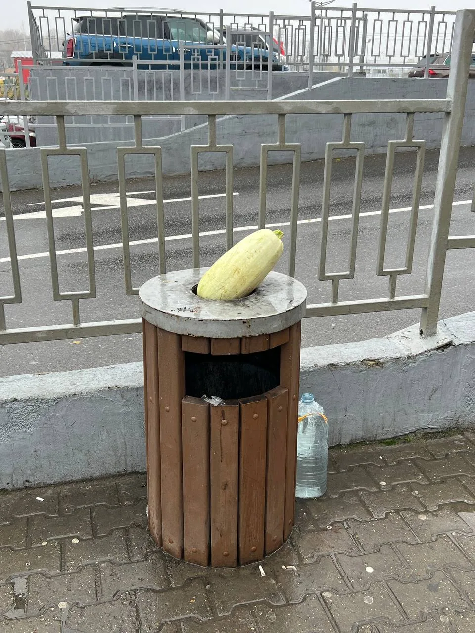 Кто-то все же сдался и не смог пристроить кабачок🥲