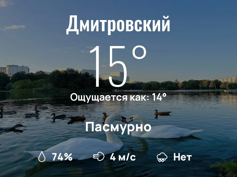 Что с погодой в Дмитровском?