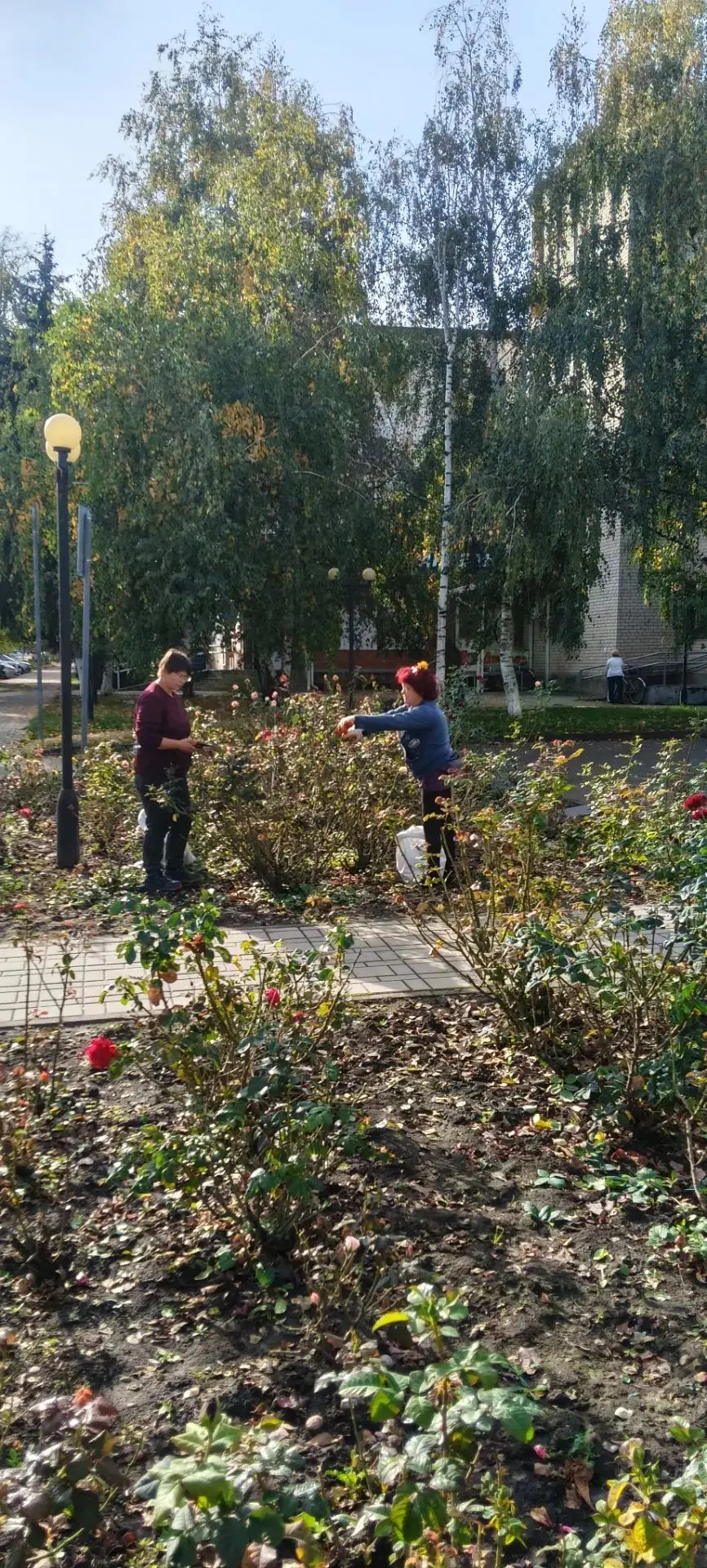 Прополка клумбы по улице Первомайской пгт Мостовского