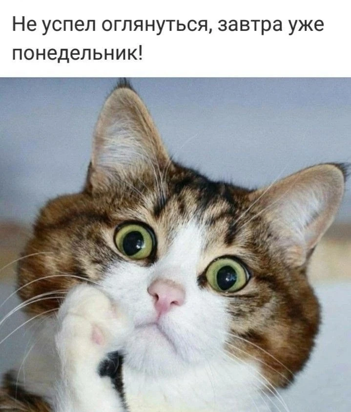 Печалька 😢