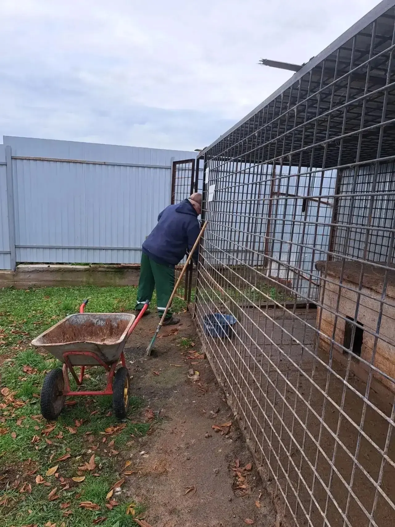 🐾 В пункте временного содержания животных в Кармасане — регулярная уборка и забота