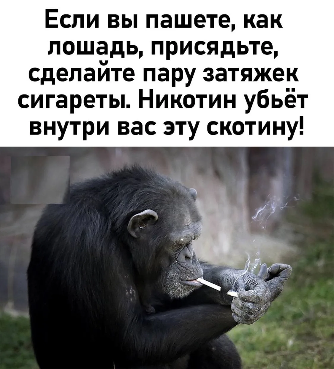 🎃 Весело у нас 🧨