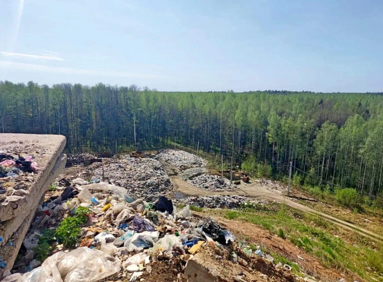 👨‍💼🌳🪓🚮Мишустин разрешил вырубить 39 га леса под мегасвалку «Хартии» в Бабанино