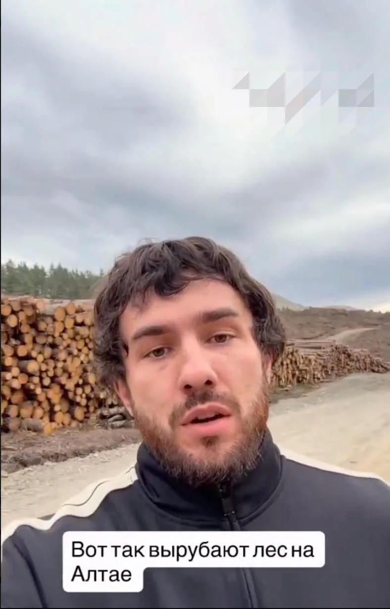 В сети снова разгоняют кадры вырубленного леса в Горном Алтае, утверждая, что лес рубят...