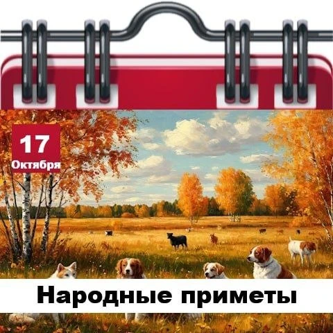 Народные приметы 17 октября