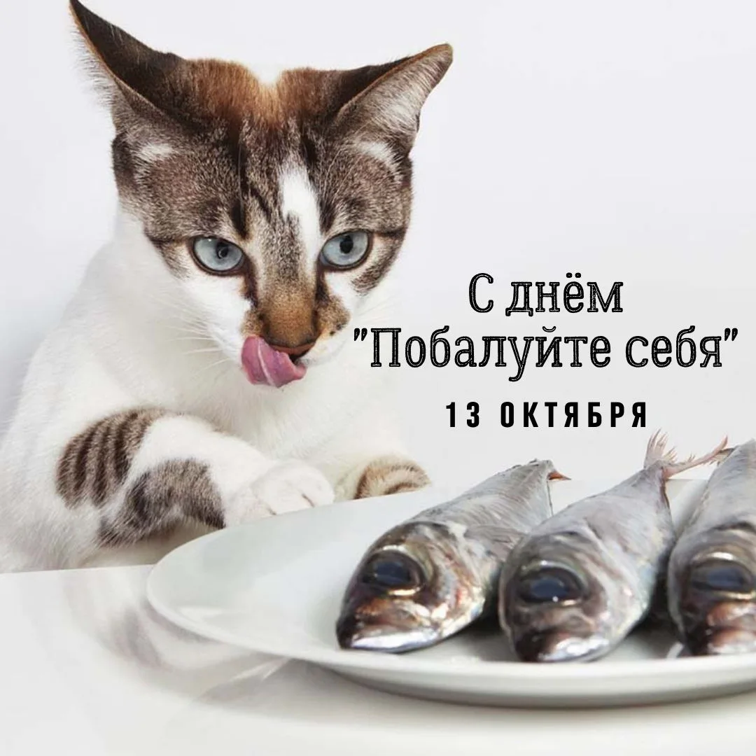 https://max.ru/se13912156_biz