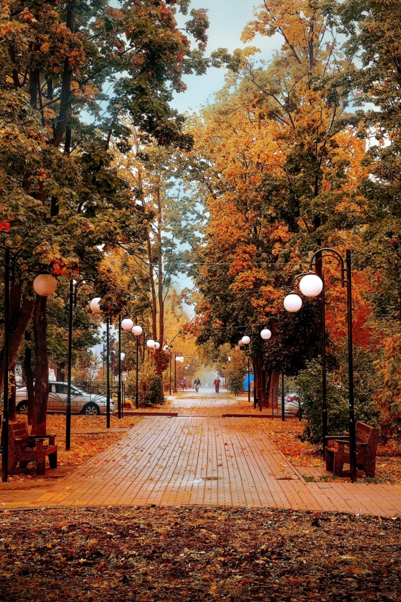 Осенняя эстетика в Ельце🍁