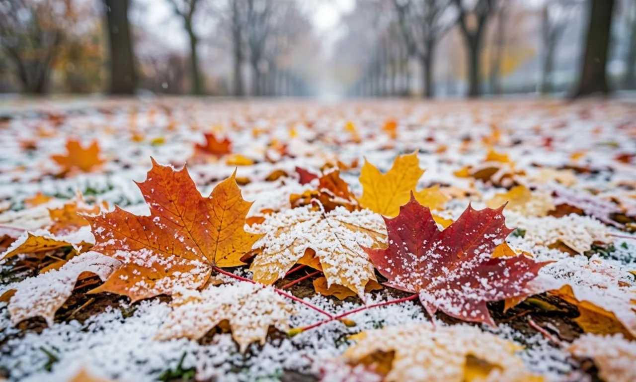 🌨 Погода в выходные готовит нам настоящую осенне‑зимнюю смесь!