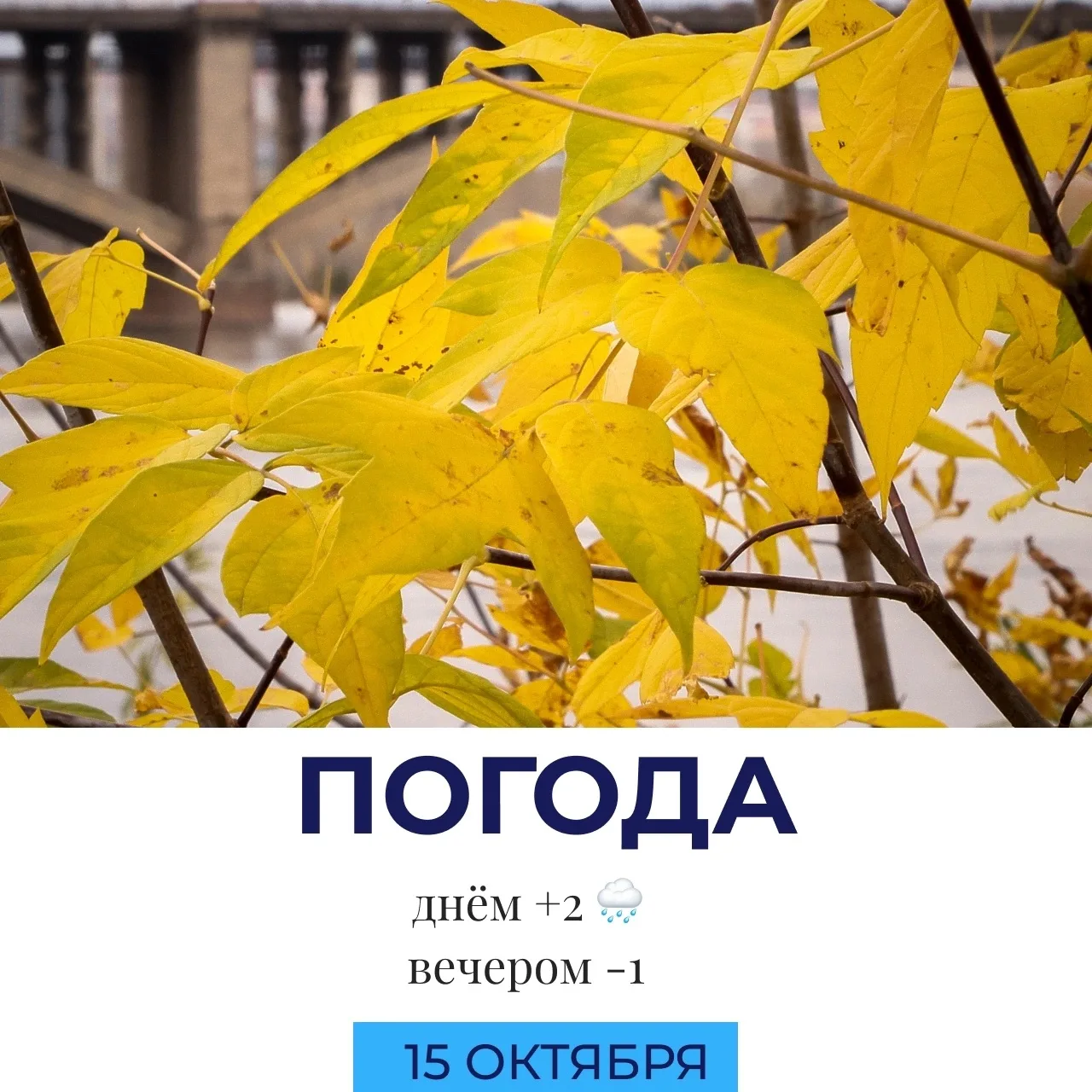 🌧 Погода сегодня