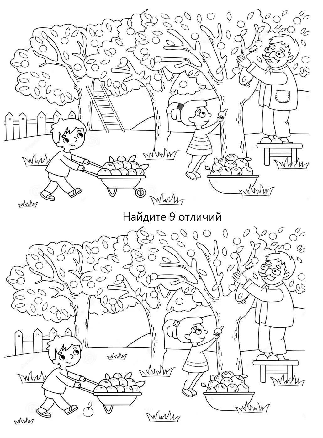 НАЙДЕТЕ 9 ОТЛИЧИЙ?