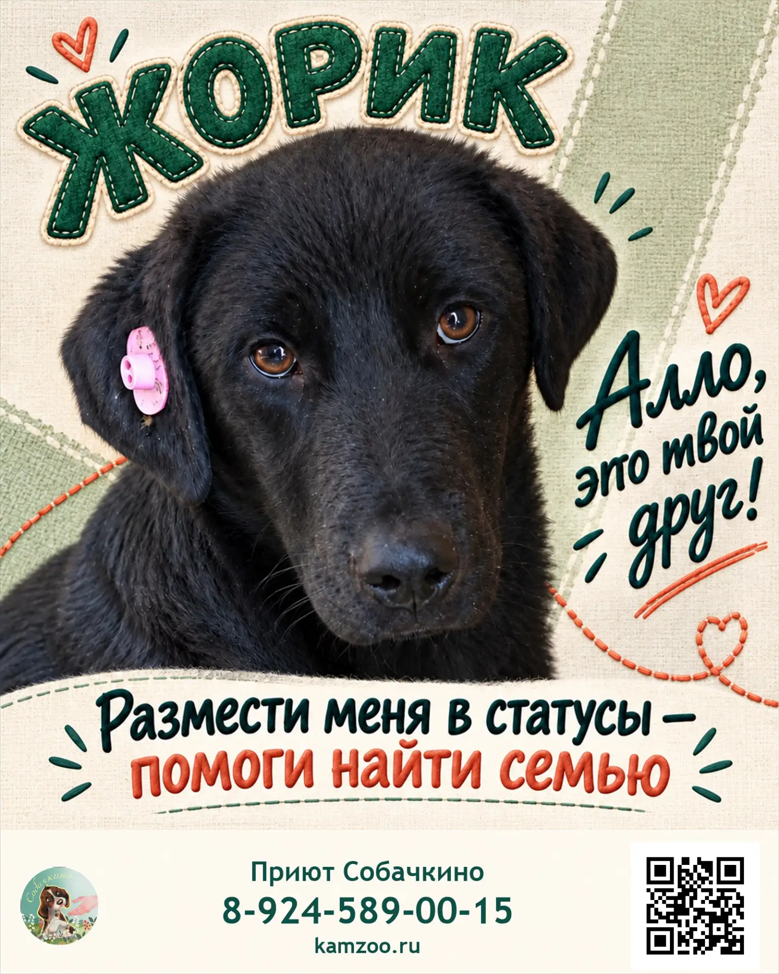 Жорик ищет дом. ❤️