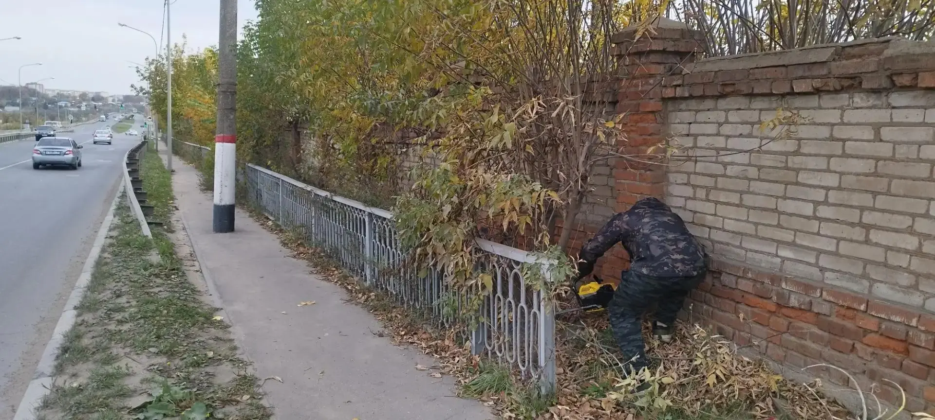 В Алексине ведется масштабная опиловка поросли. За последние месяцы город реально стал ...