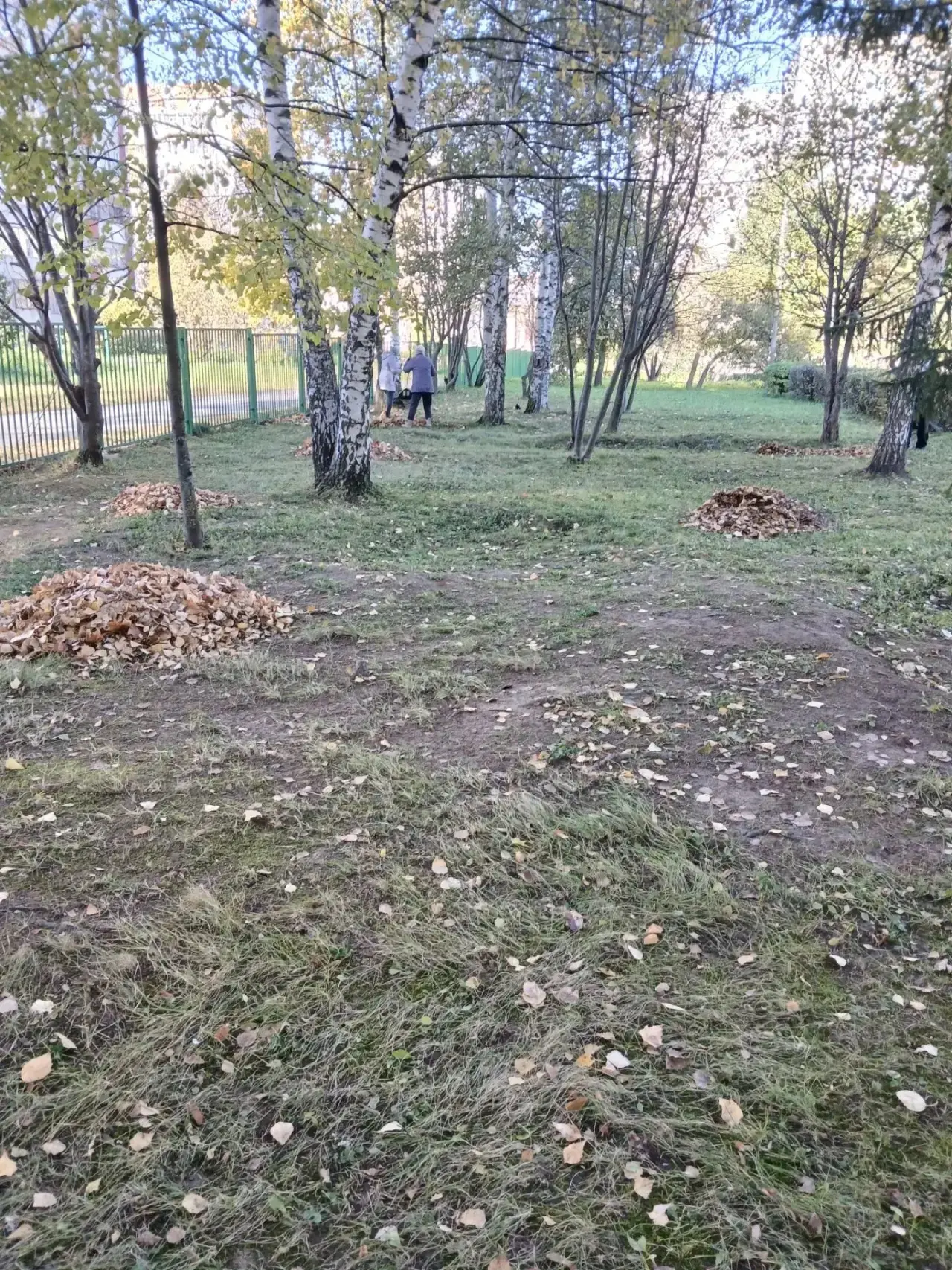 💥 Благоустройство территории 💥