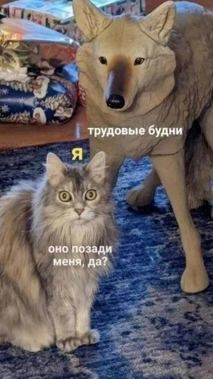Да и еще раз да! 🙌 Эээтот момент настал. «Оно» — наконец-то позади!