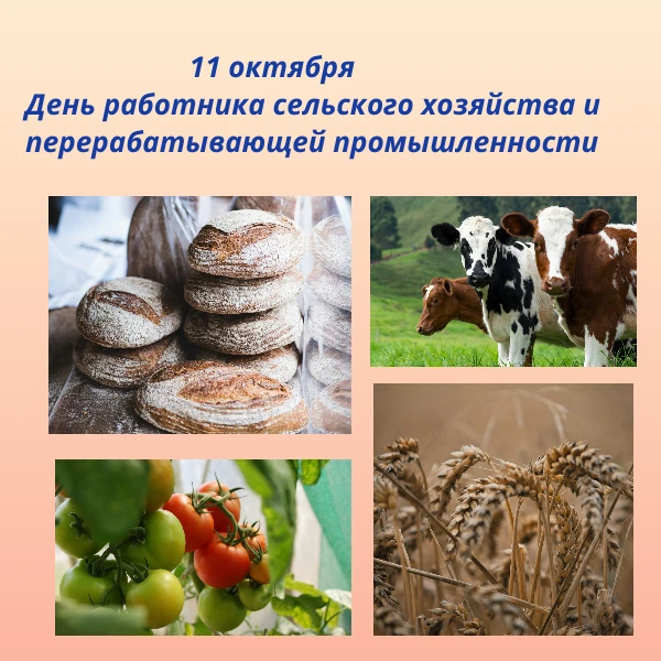 Дорогие труженики села, ветераны агропромышленного комплекса, работники и коллективы пе...