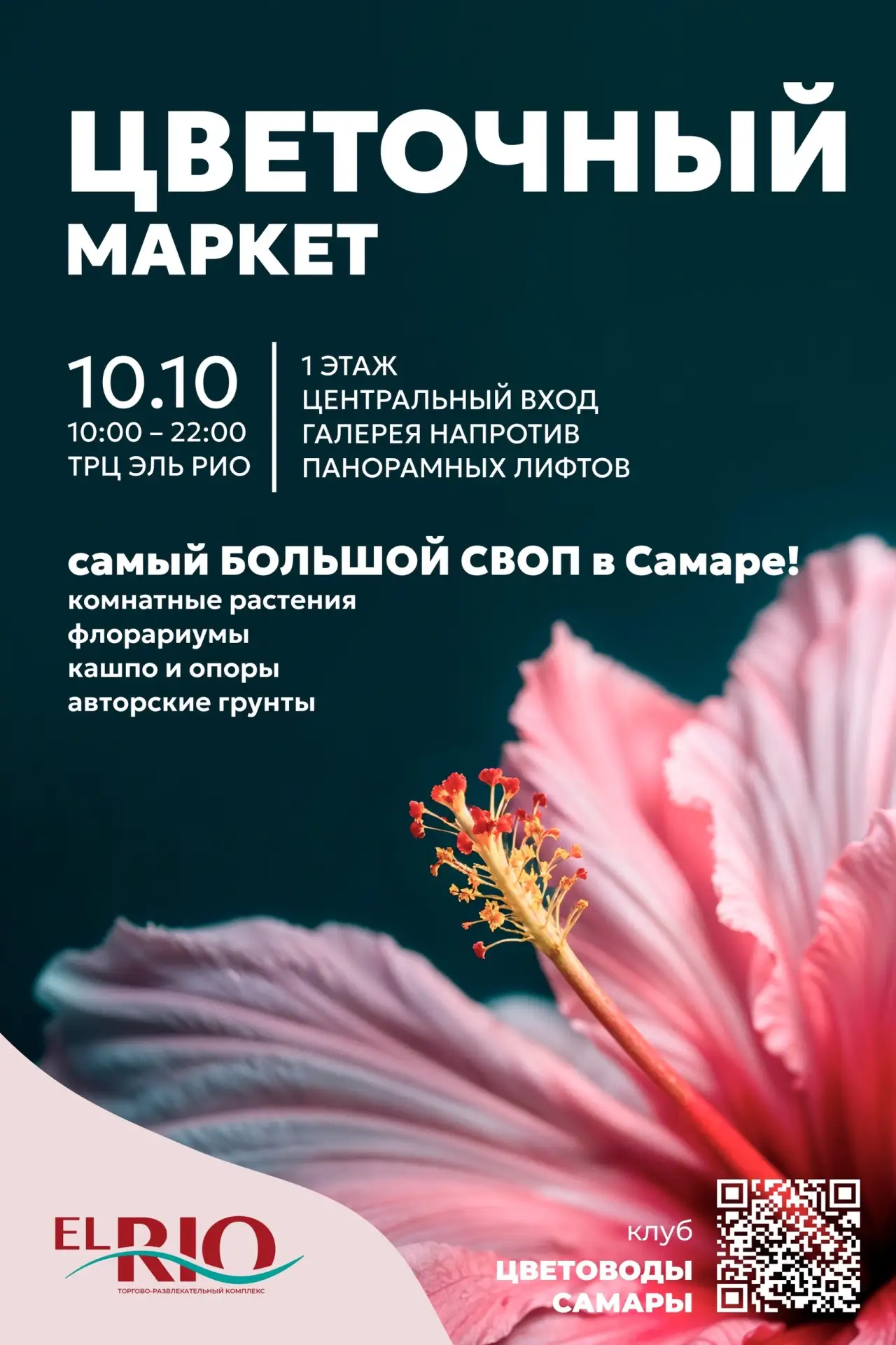 🌿 Цветочный рай в Эль Рио