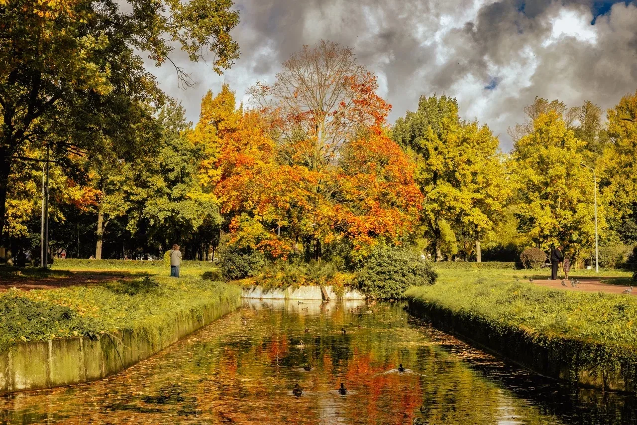 🍂 Доброе утро, Красногвардейский!
