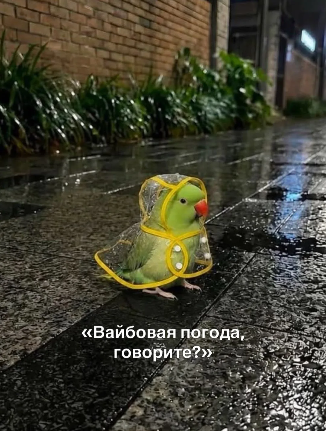 Доброе утро!