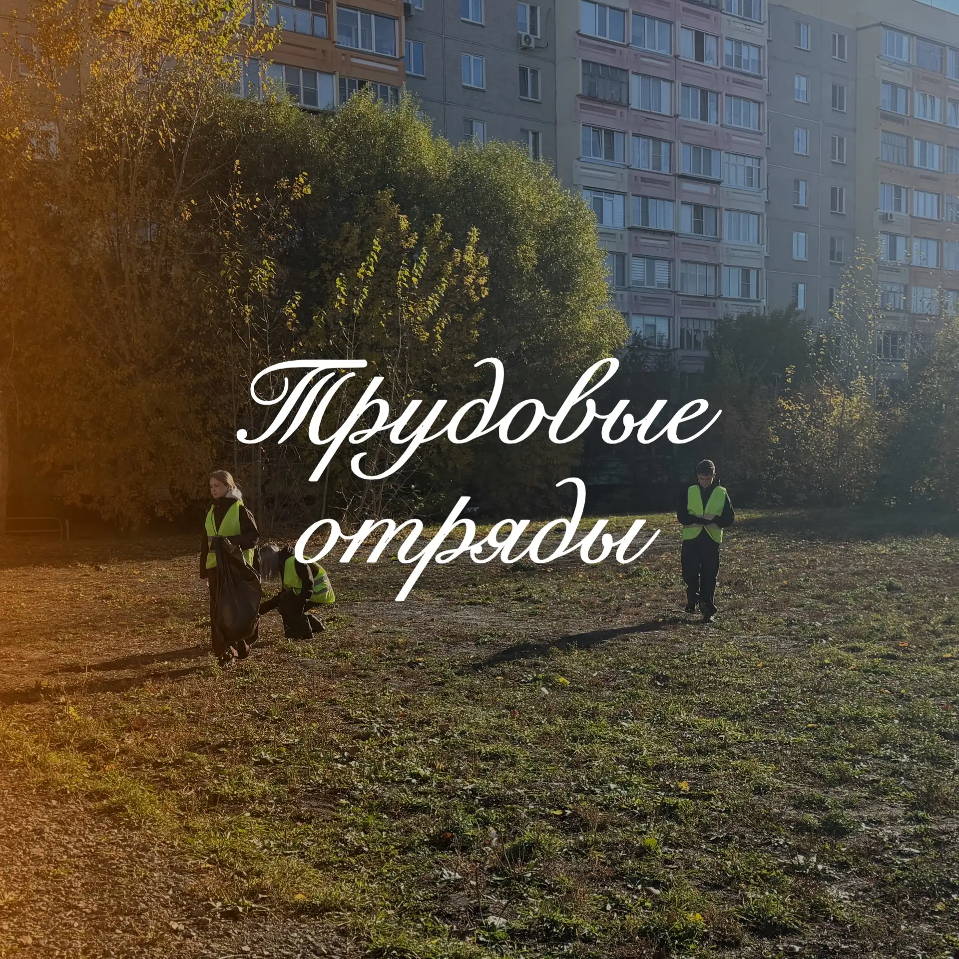 // Трудовые отряды 🧹🦺🌱