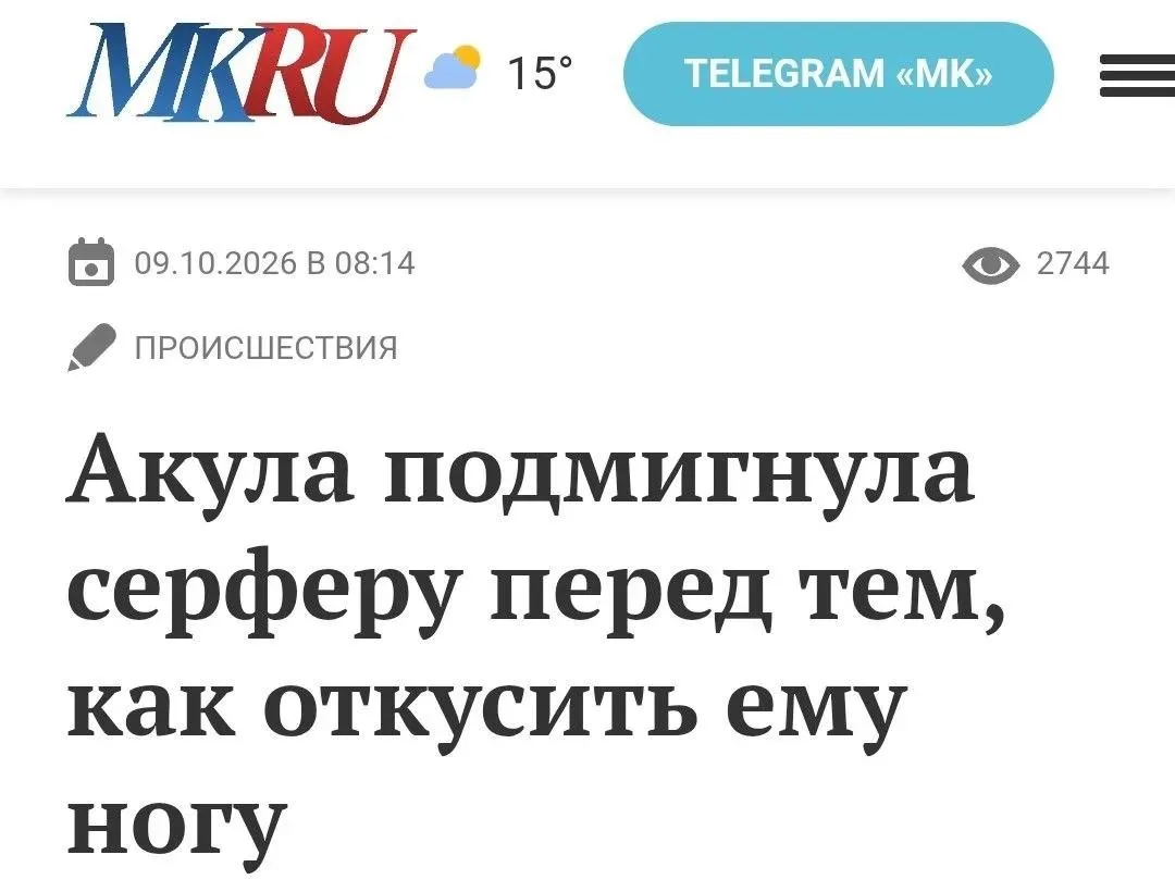 Это просто кусь🥴