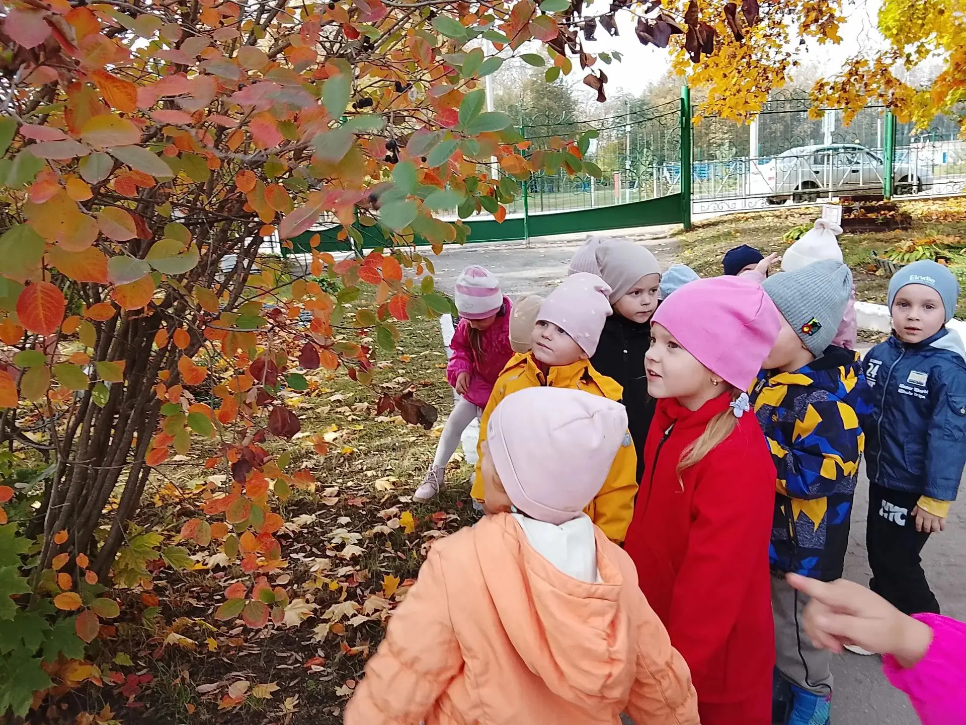 В средней группе "Почемучки" проходит тематическая неделя 🍂"Деревья и кустарники нашег...