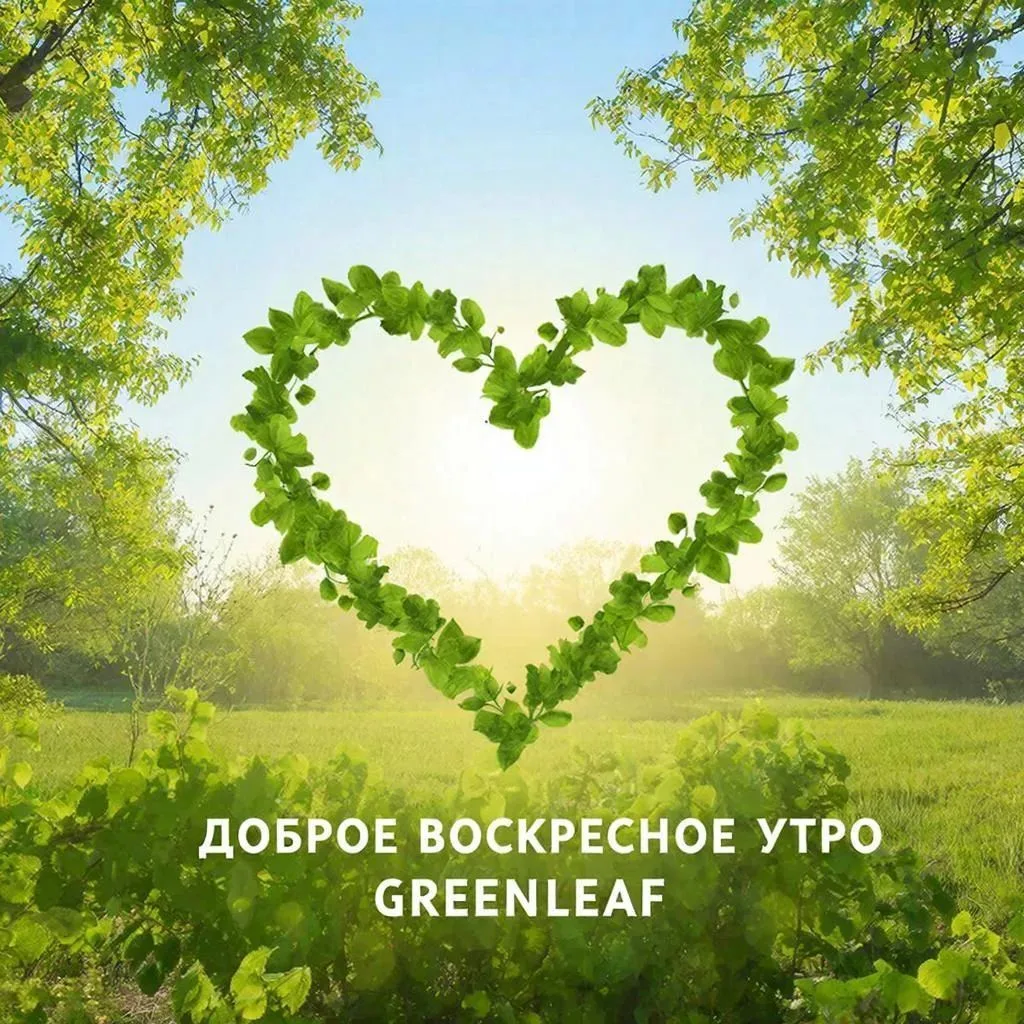 Всем Здравствуйте!