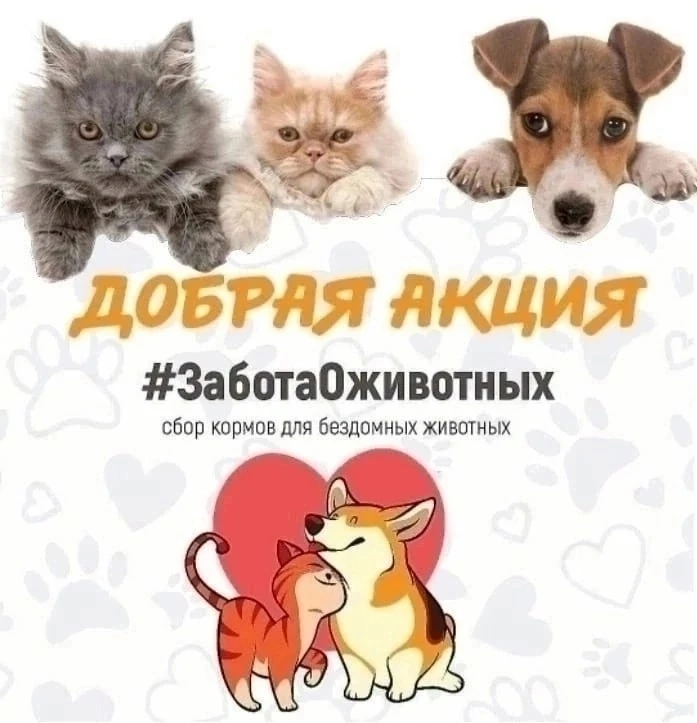 Внимание ❗ Дорогие учащиеся и их родители! Проходит  благотворительная акция по сбору к...