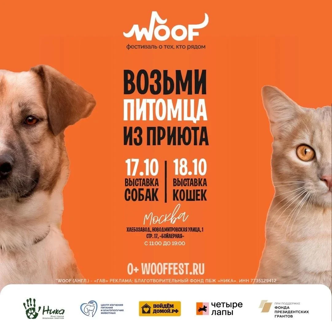 🎉 17 и 18 октября - едем на WOOF! 🎉