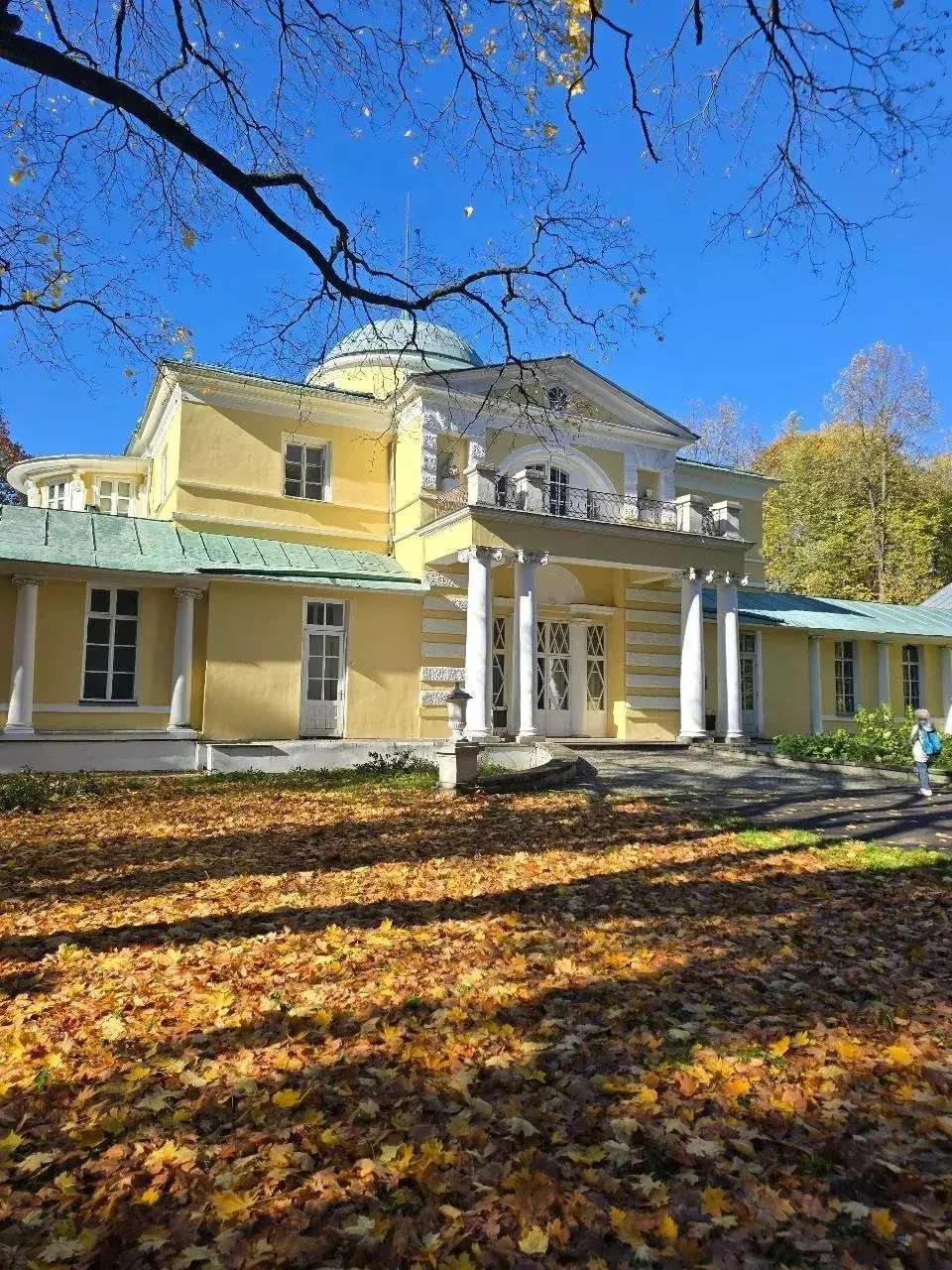🍁 Золотая осень в усадьбе Братцево.