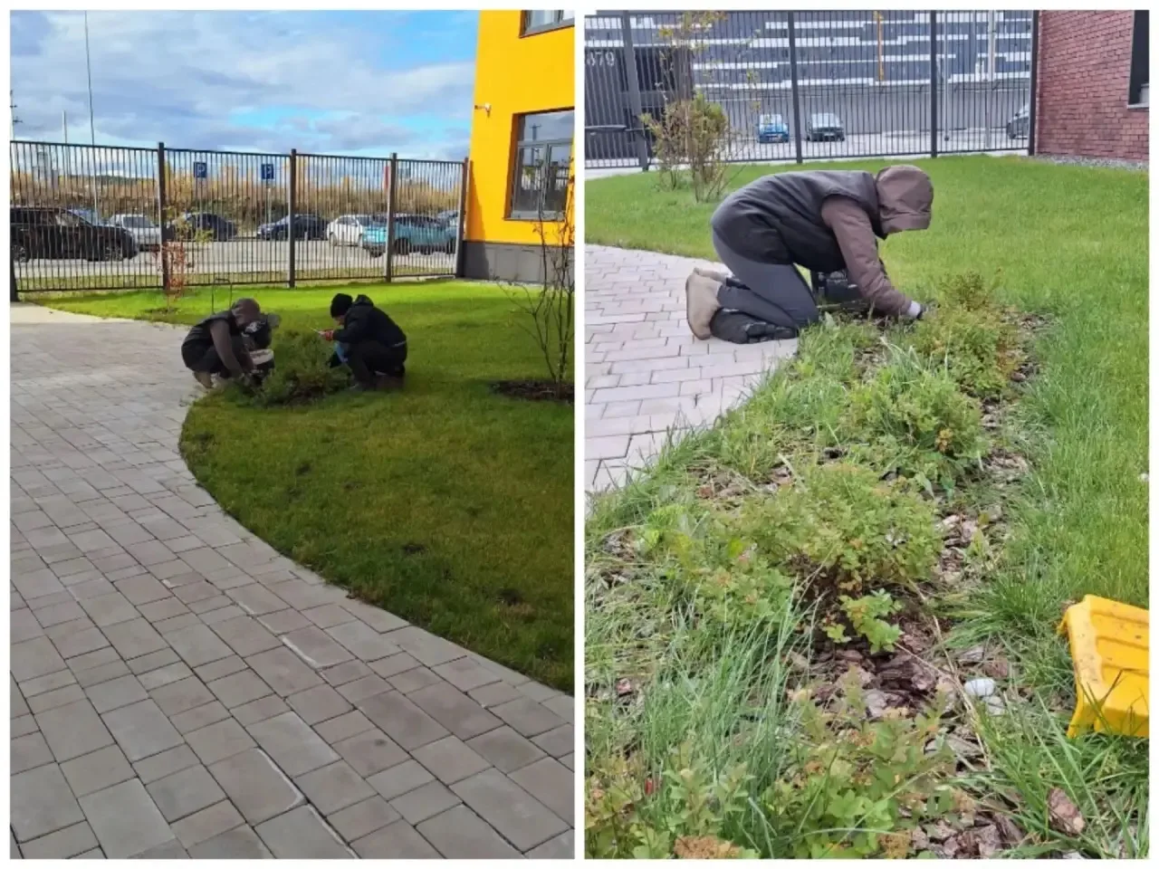 🌿 Уважаемые собственники!