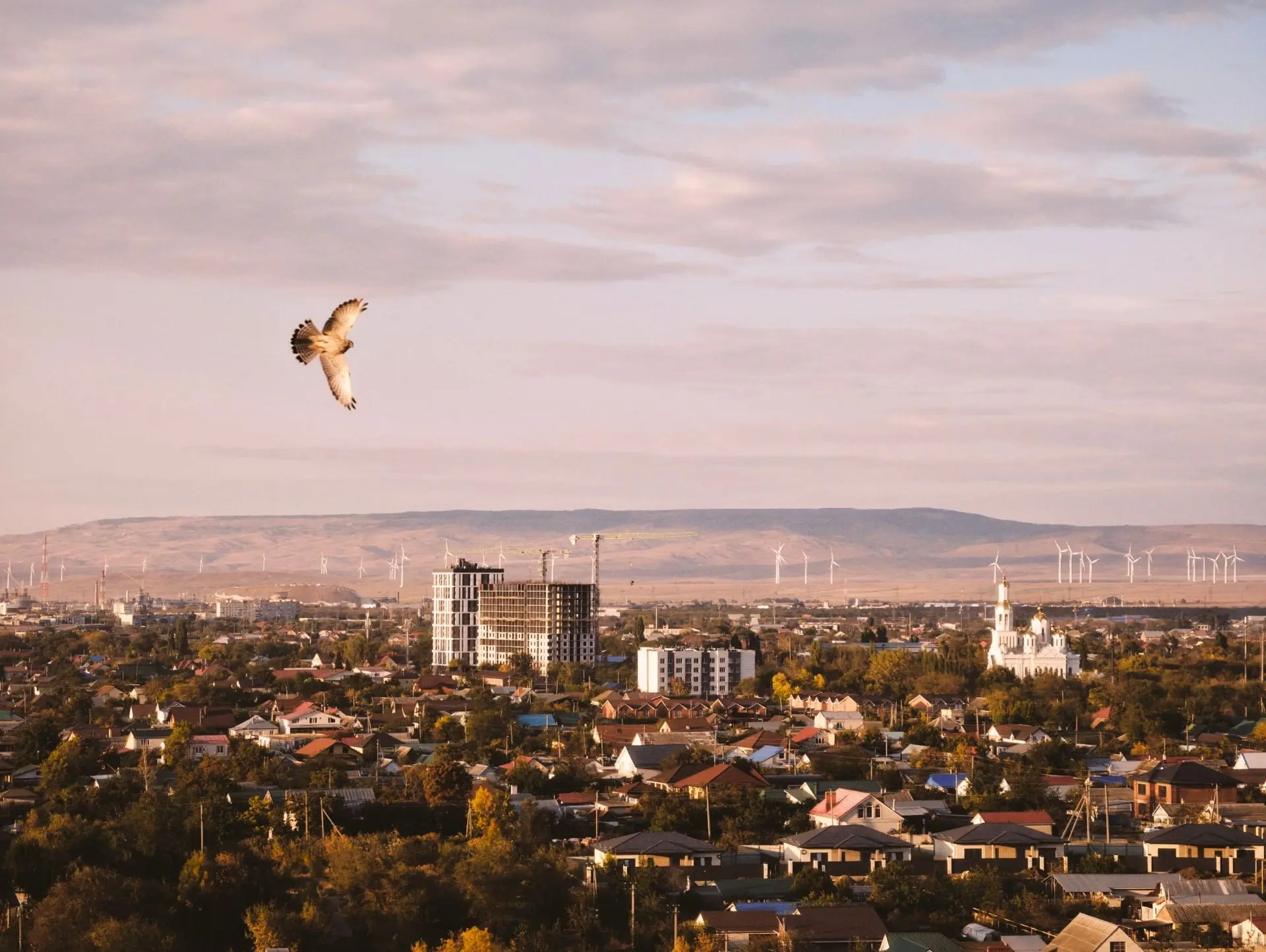 С добрым утром, дорогие земляки! 🍂
