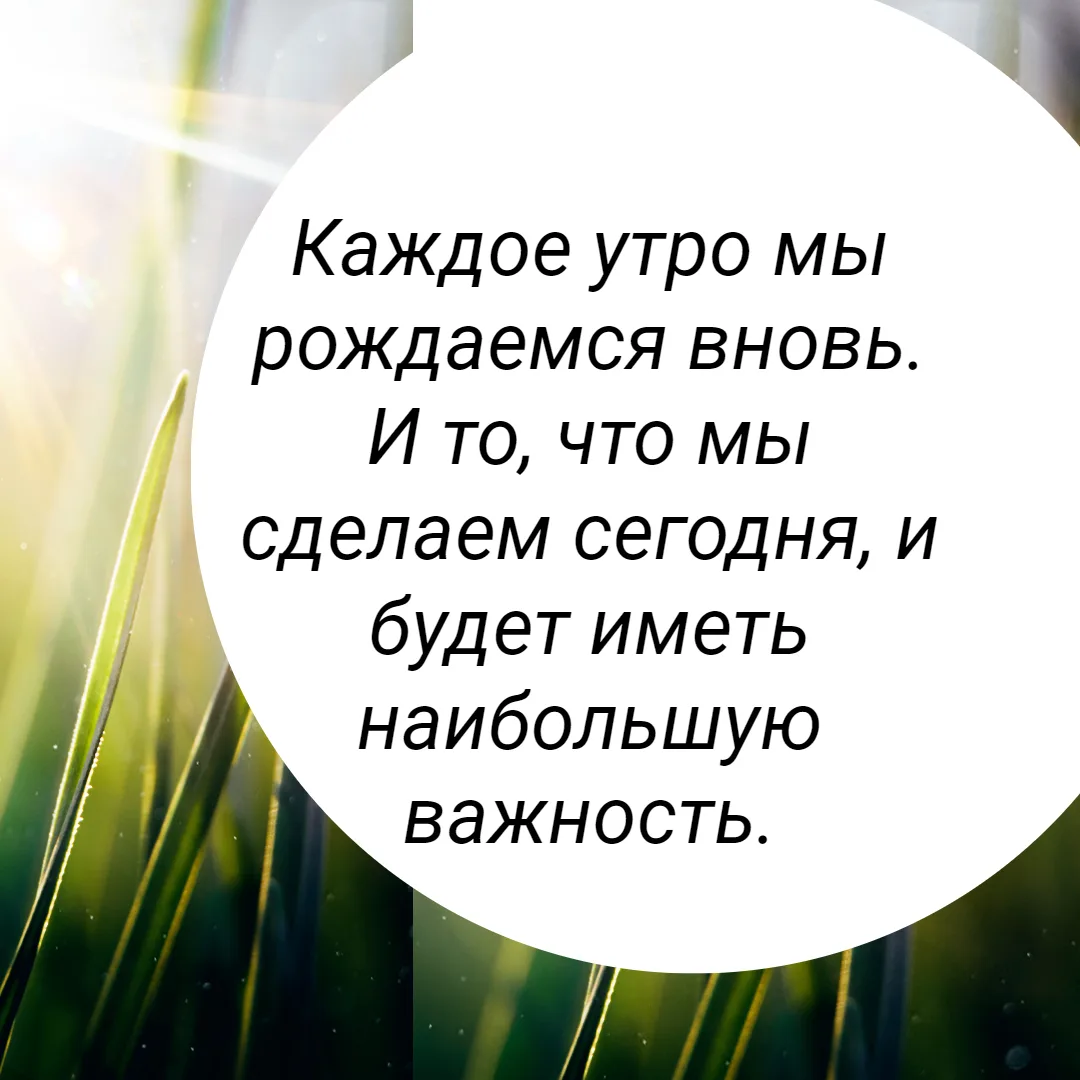 Каждое утро мы рождаемся вновь. И то, что мы сделаем сегодня, и будет иметь наибольшую ...