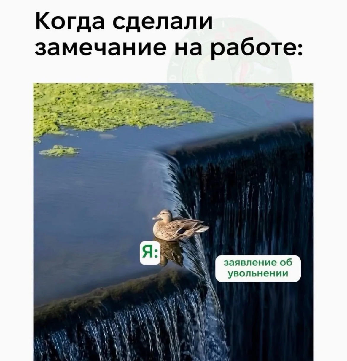 Дурилка картонная