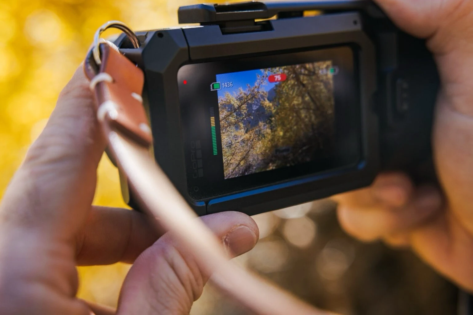 GoPro Mission теперь фотографируют в RAW 50 Мп. Примеры снимков