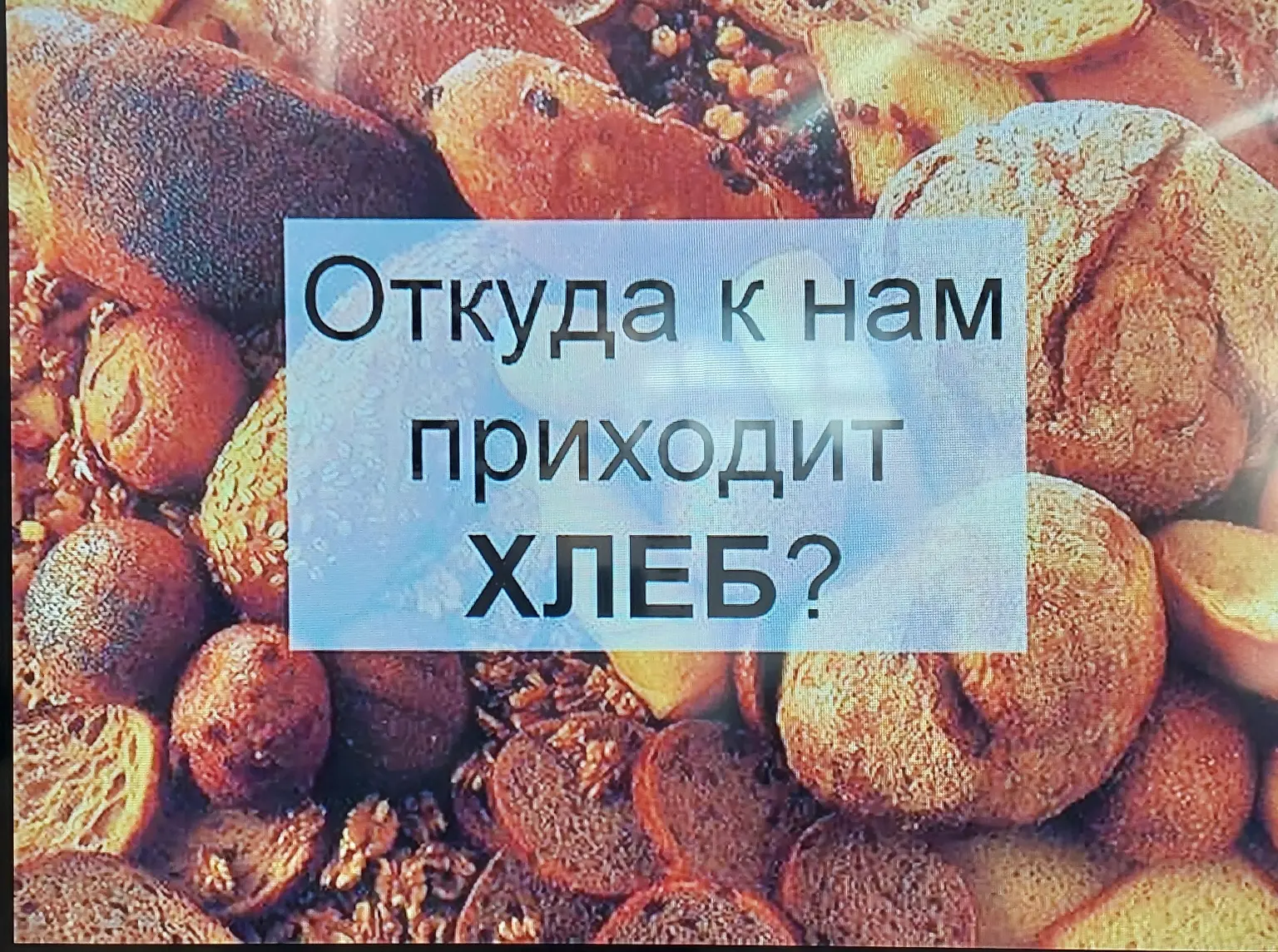 🥖 16 октября — Всемирный день хлеба!