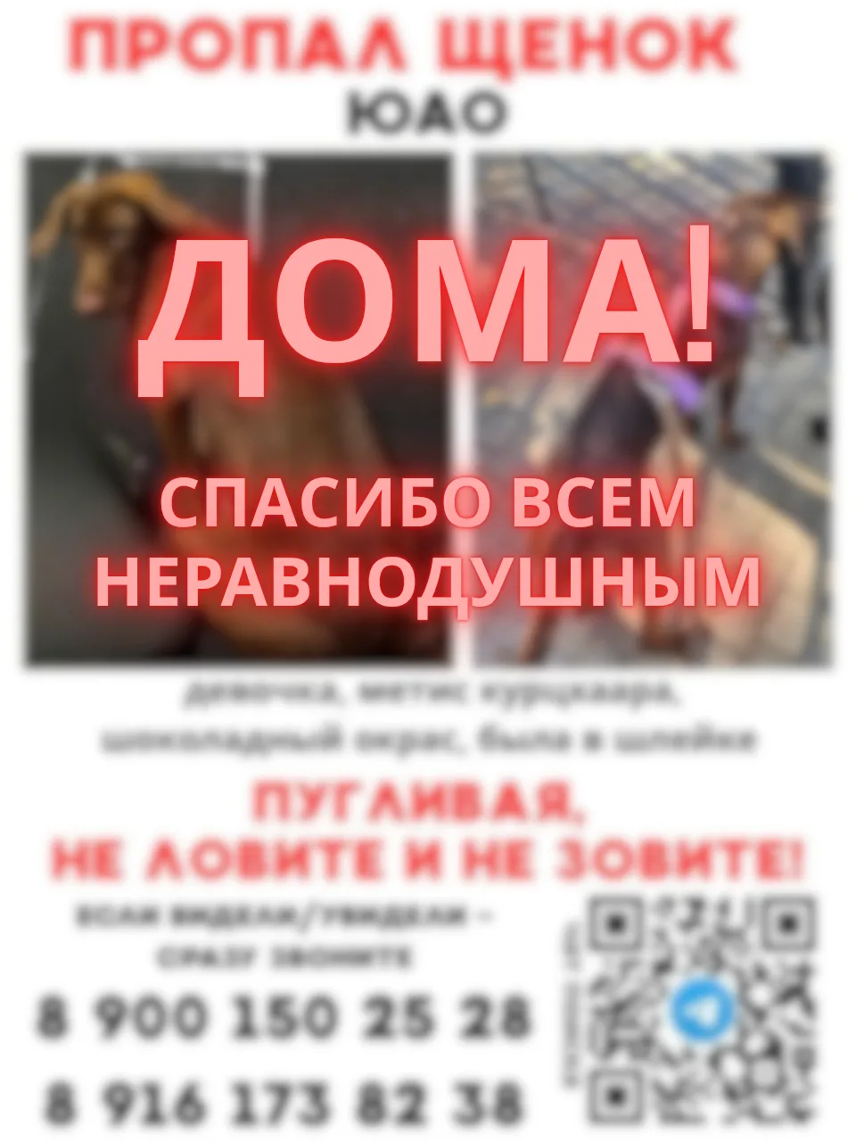ЮАО, Бирюлёво, Царицыно