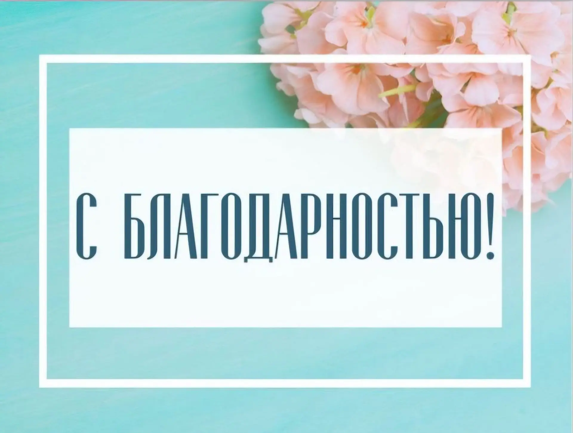 Хочу выразить огромную благодарность Коломенскому перинатальному центру центру за чутко...
