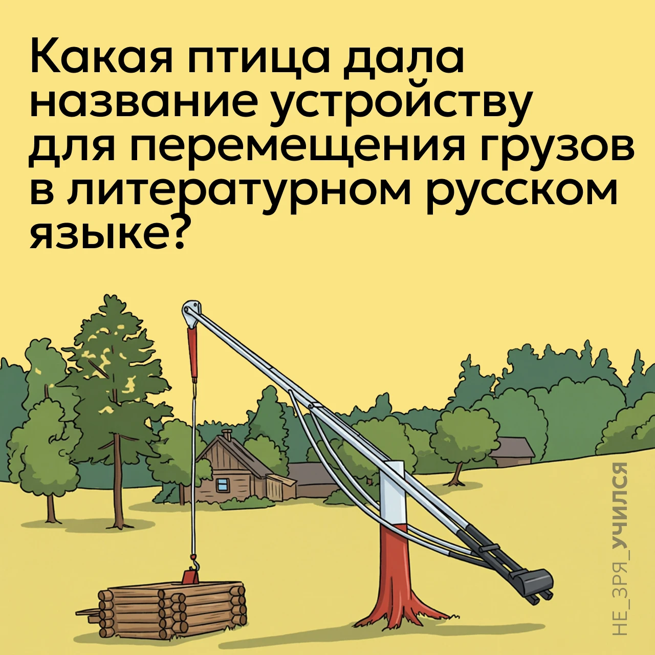 🤔  В русском языке журавль — это не только птица, но и особого рода рычаг для подъёма ...