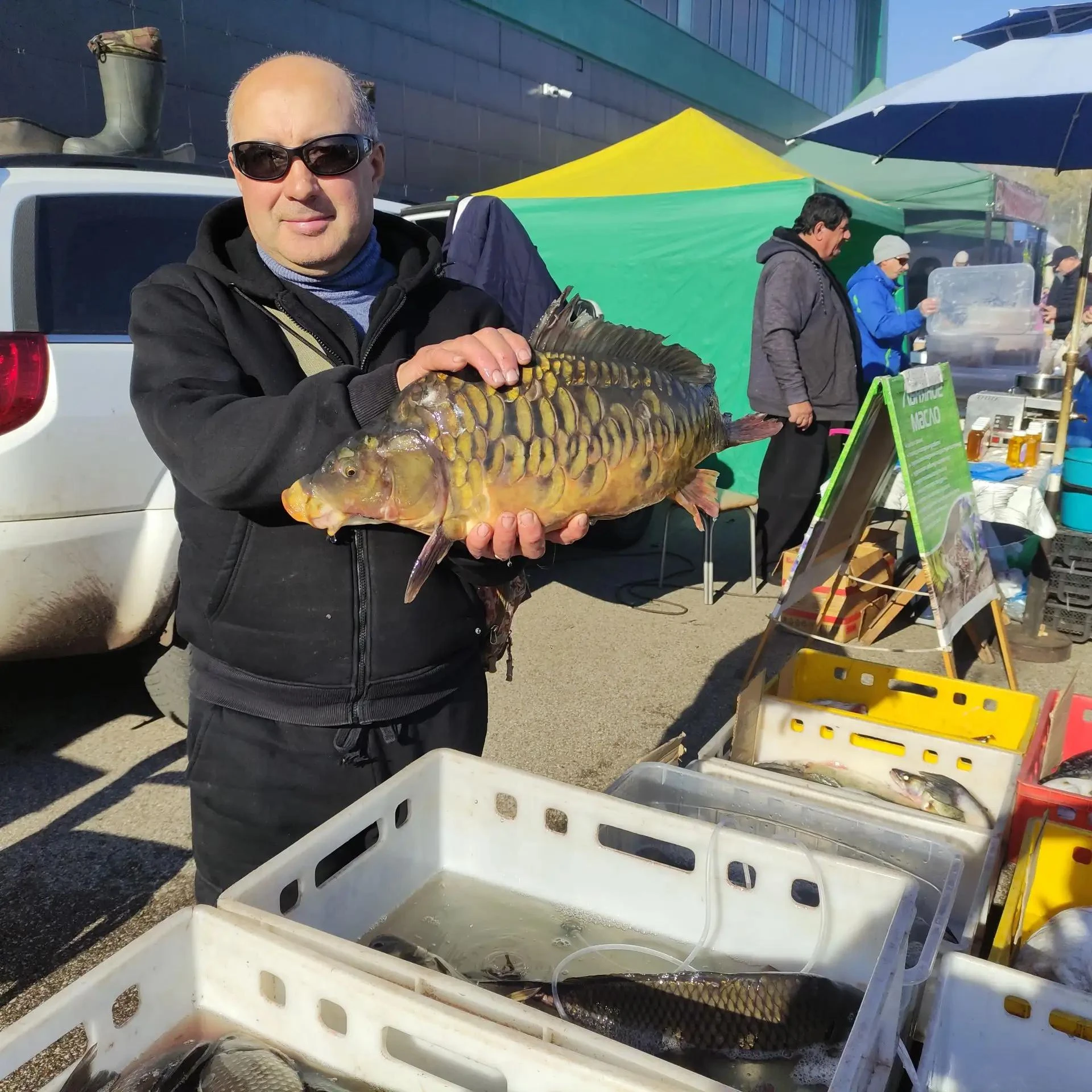 🍯🐟 Соблазны осенней ярмарки