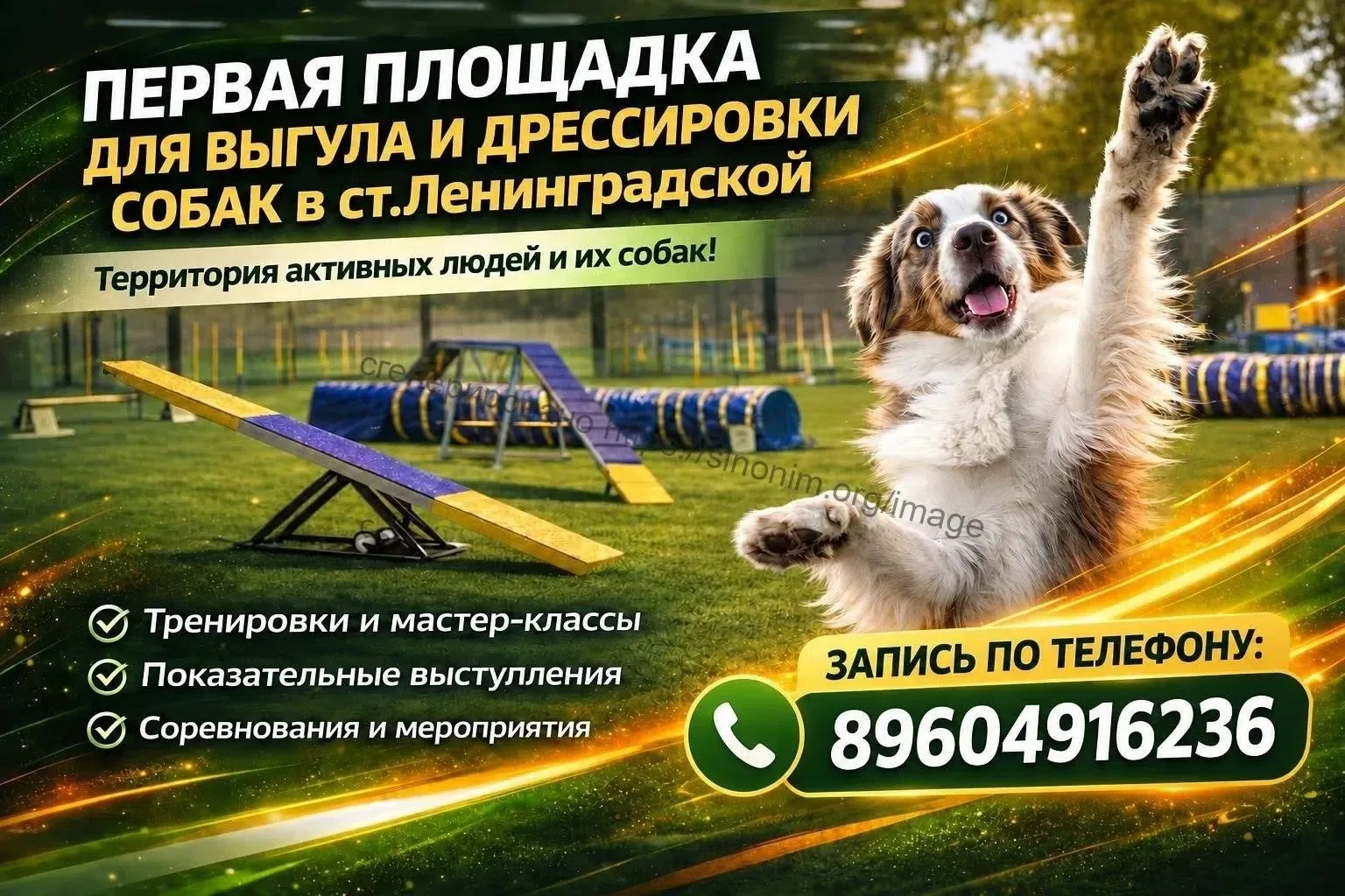 "Клуб любителей собак" - обустроенная площадка для выгула и обучения питомцев будет в с...