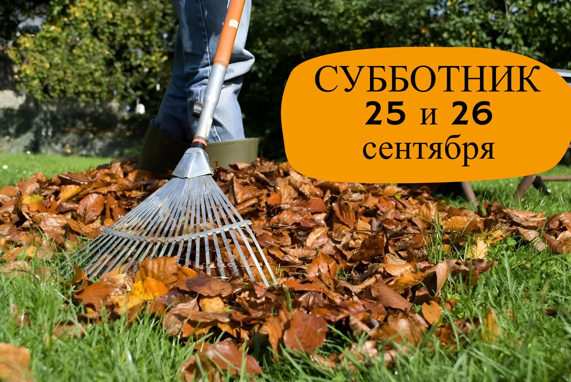 Присоединяйся к общему делу 25 и 26 сентября!