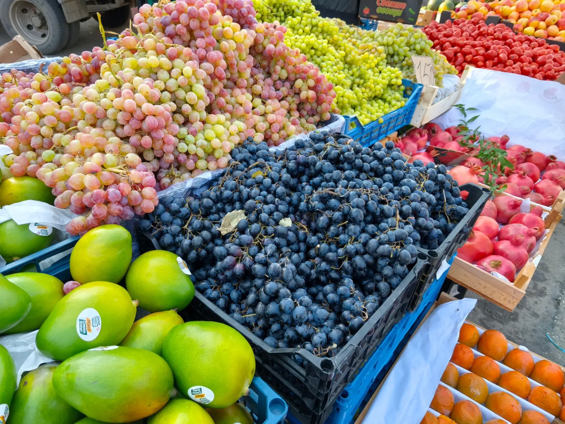 🍎 В Демском районе прошла сельскохозяйственная ярмарка