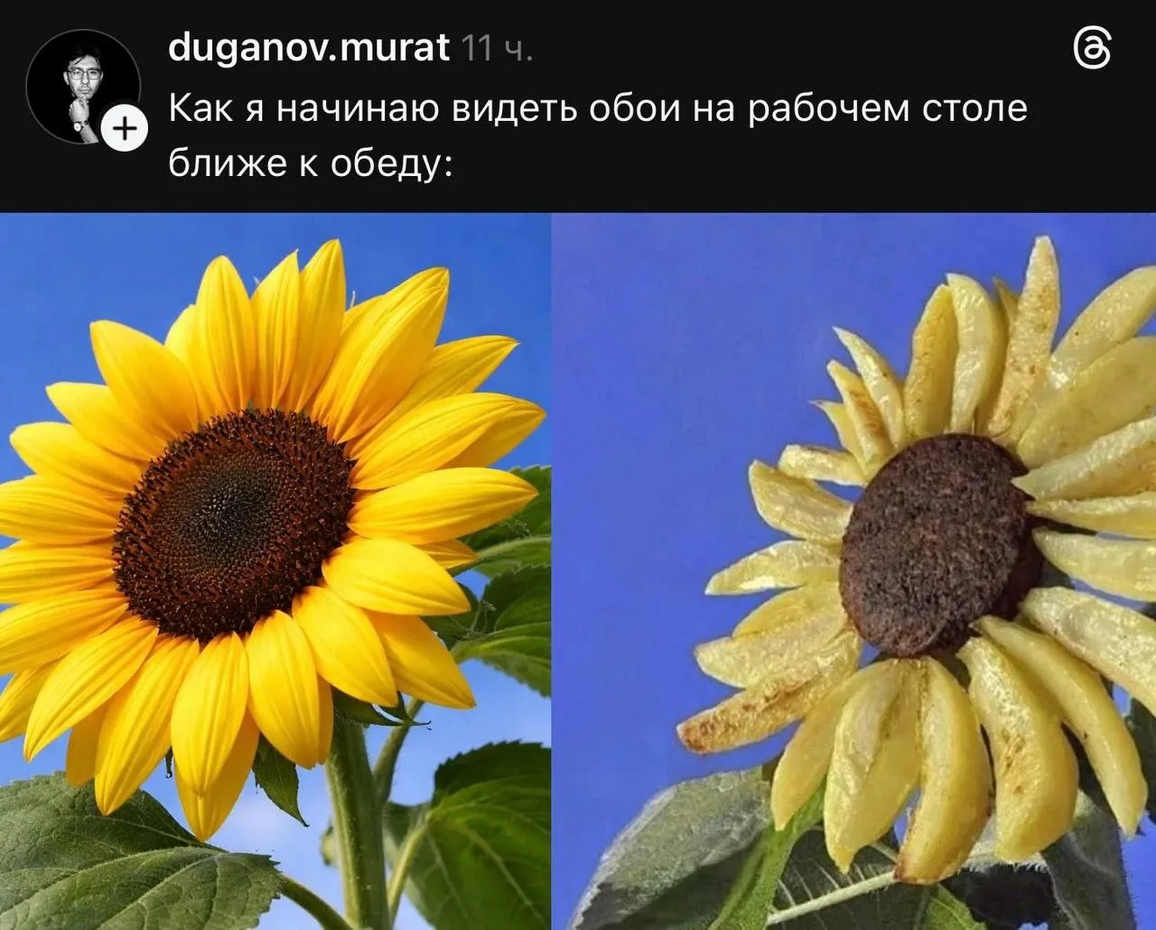 Подпишись на Приколиста