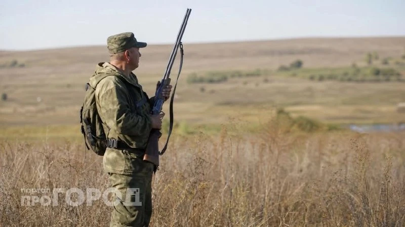 В Нижегородской области начали отстрел лис, кабанов и медведей из-за вспышек заразы